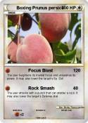 Boxing Prunus