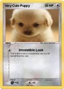 Very Cute Puppy