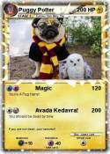 Puggy Potter