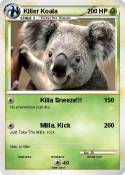 Killer Koala