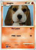 beagles