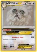 Wilfred