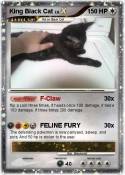 King Black Cat