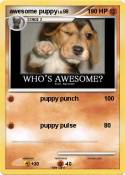 awesome puppy