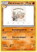 Cats in a box