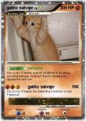 gatito salvaje