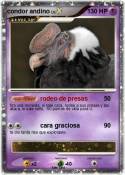 condor andino