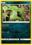 ivy