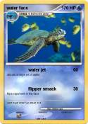 water face