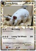 Loong Bunny
