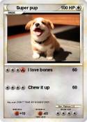 Super pup