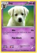 Dog