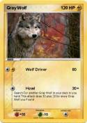 Gray Wolf