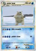 polar bear