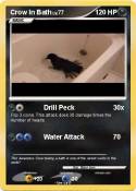 Crow In Bath