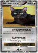 EVIL Black Cat