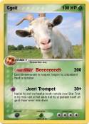 Sgeit