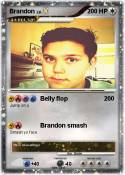 Brandon Brandon