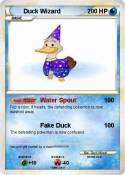 Duck Wizard