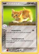 katt
