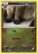 Fat PokeCat