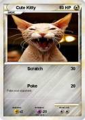 Cute Kitty