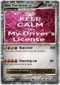 Sam The Driver