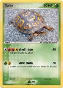Turtle