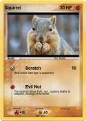 Squirrel