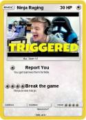 Ninja Raging