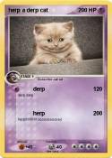 herp a derp cat