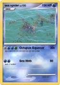 sea spider