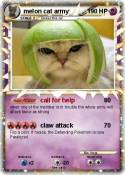 melon cat army