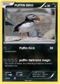 PUFFIN BIRD