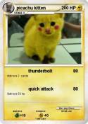 picachu kitten