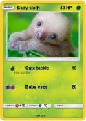 Baby sloth