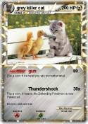 grey killer cat