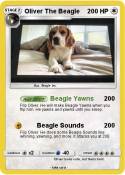 Oliver The Beagle Oliver The