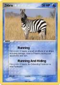 Zebra