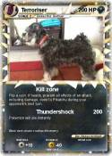Terroriser