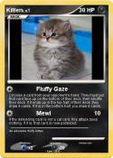 Kitten
