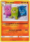 chat ultime