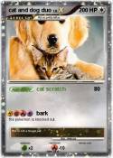 cat and dog duo
