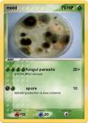mold