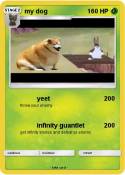 my dog