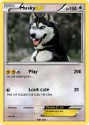 Husky