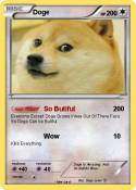 Doge