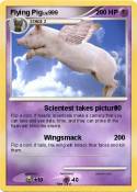 Flying Pig