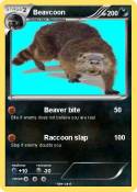 Beavcoon