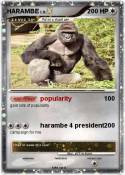 HARAMBE